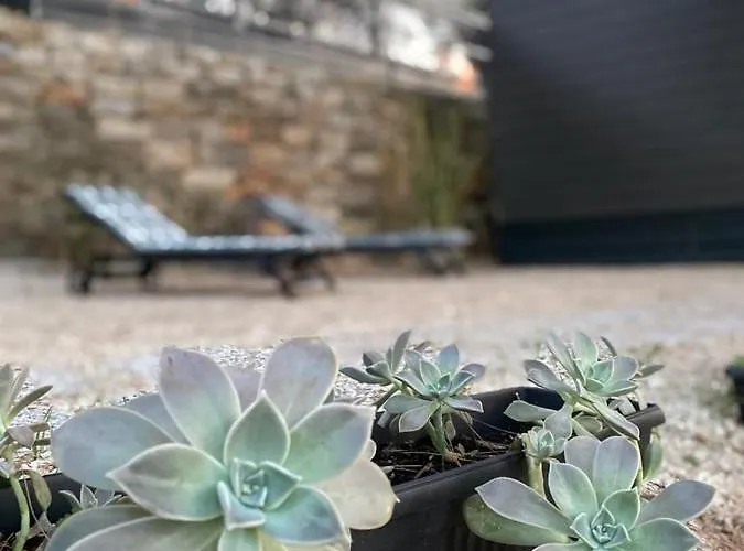 Σπίτι διακοπών Total Escape Mobile Mocca Camp Porton Biondi