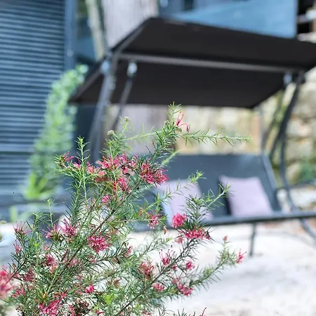 Total Escape Mobile Mocca Camp Porton Biondi 度假居 *